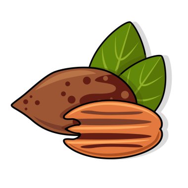 pekan somun yaprakları ile.