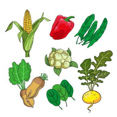 Vejetaryen yiyecekler kümesi