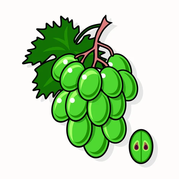 Uvas verdes aisladas sobre fondo blanco. — Vector de stock