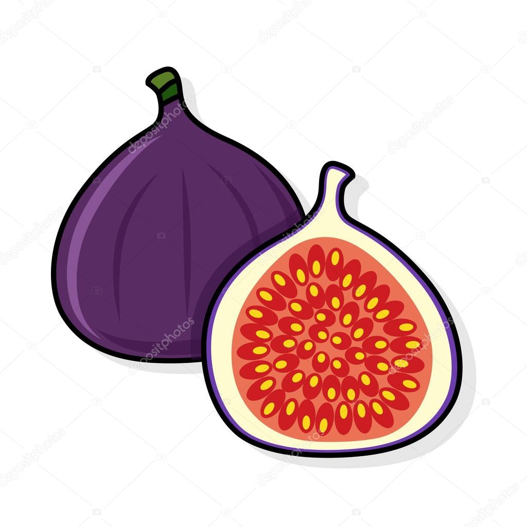 Fig on a white background. 