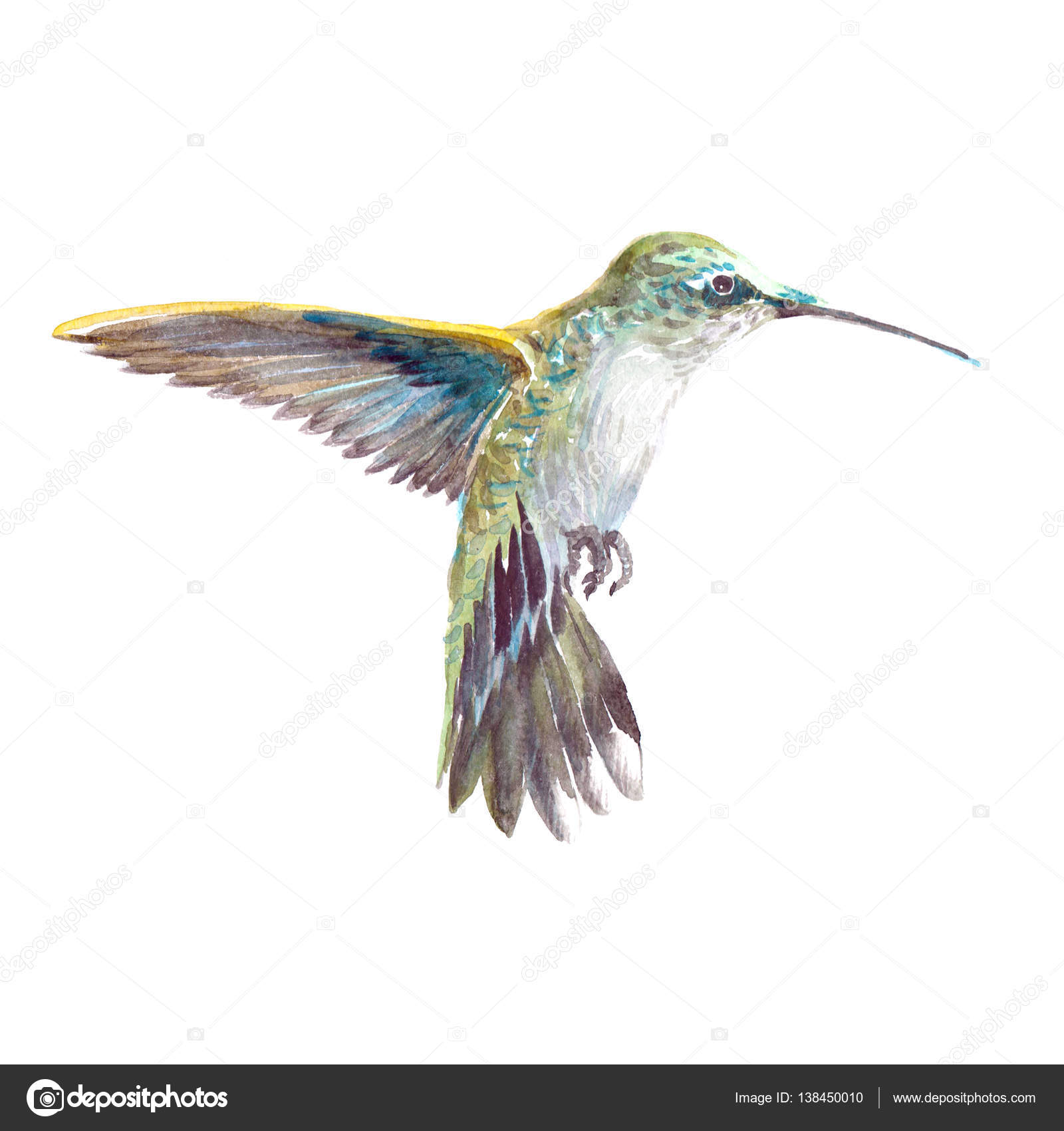 Colibr¬ realistico dell acquerello animale uccello tropicale colibri — Foto Stock