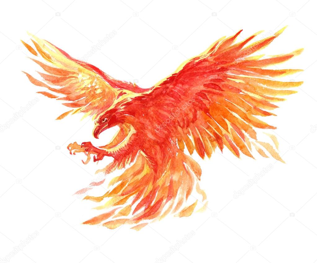 Watercolor single character mystical mythical character phoenix isolated on a white background illustration