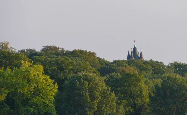 Telhado do castelo na floresta — Fotografia de Stock