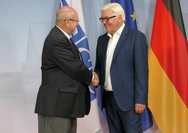 Federaal minister van buitenlandse zaken Dr. Frank-Walter Steinmeier verwelkomt Lam — Stockfoto