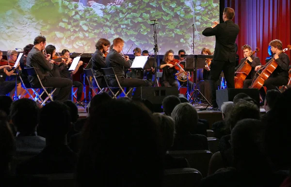 指揮者の表現の演奏で交響楽団を監督 — ストック写真