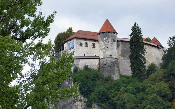 Castelo de Bled construído no topo de um penhasco com vista para o lago Bled, locat — Fotografia de Stock