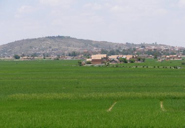 Antananarivo, Madagaskar. 24th Kasım 2016: İnsanlar çalışmak