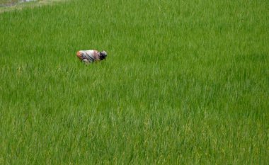 Antananarivo, Madagaskar. 24th Kasım 2016: üzerinde çalışan adam