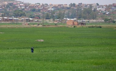 Antananarivo, Madagaskar. 24th Kasım 2016: üzerinde çalışan adam
