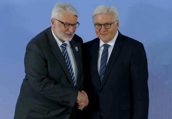 Duits minister van buitenlandse zaken Dr. Frank-Walter Steinmeier — Stockfoto