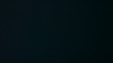 Yazım kelime coşku