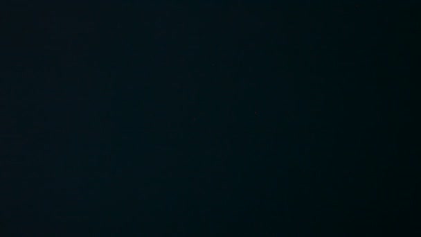 Mot dactylographie fox 