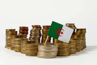 Cezayir bayrağı sallayarak para sikke yığını ile