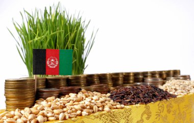 Afganistan bayrak sallayarak para sikke ve buğday yığınları yığını ile