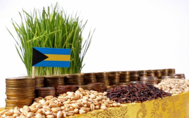 Para sikke ve buğday yığınları yığını ile sallayarak Bahamalar bayrağı