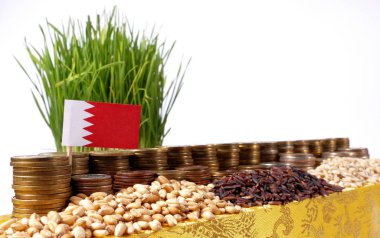 Para sikke ve buğday yığınları yığını ile sallayarak Bahreyn bayrağı