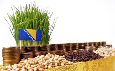Bosna-Hersek bayrak sallayarak para sikke yığını ile