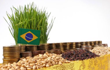 Brezilya bayrak sallayarak para sikke ve buğday yığınları yığını ile 