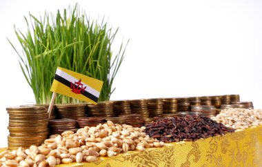 Para sikke ve buğday yığınları yığını ile sallayarak Brunei bayrağı 
