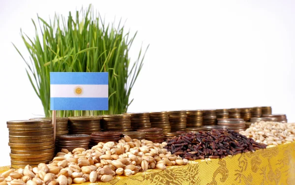 Αργεντινή σημαία κυματίζει με στοίβα νομίσματα χρήματα και σωρούς από σιτάρι — Φωτογραφία Αρχείου