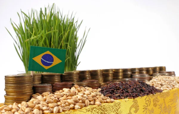 Brezilya bayrak sallayarak para sikke ve buğday yığınları yığını ile 