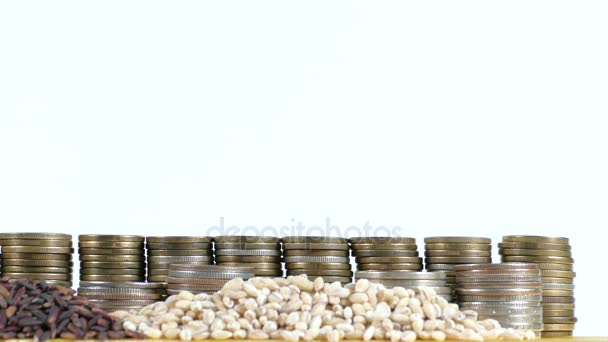 Bandera de Argentina ondeando con pila de monedas de dinero y montones de semillas de trigo y arroz — Vídeo de stock