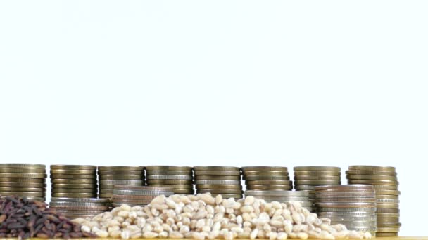 Bandeira da Austrália acenando com pilha de moedas de dinheiro e pilhas de sementes de trigo e arroz — Vídeo de Stock