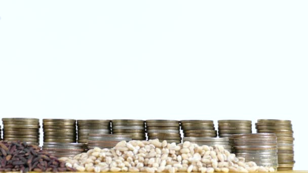 Bandera de Bielorrusia ondeando con un montón de monedas de dinero y montones de semillas de trigo y arroz — Vídeo de stock