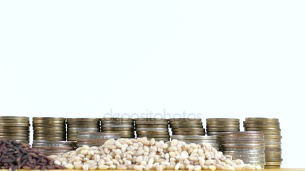 Bandera de Brasil ondeando con pila de monedas de dinero y montones de semillas de trigo y arroz — Vídeo de stock