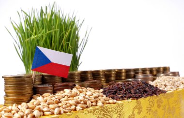 Para sikke ve buğday yığınları yığını ile sallayarak Çek Cumhuriyeti bayrağı