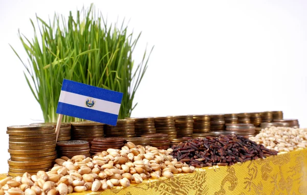 Bandera de El Salvador ondeando con pila de monedas de dinero y montones de trigo —  Fotos de Stock