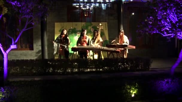 Beijing, China. Circa diciembre 2011: Tradicional tocando guzheng instrumento chino — Vídeo de stock