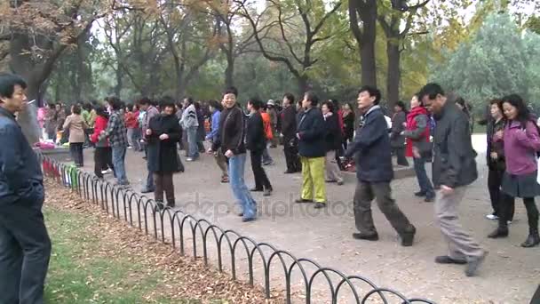 Pekin, Çin. Pekin Park'ta dans insanlar yaklaşık Aralık 2011: — Stok video