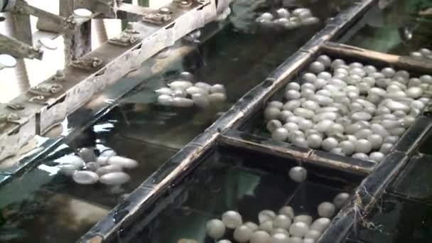 Peking, Kina. Circa December 2011: Silke produktion fabrik — Stockvideo