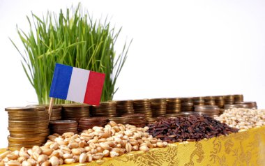 Fransa bayrağı sallayarak para sikke ve buğday yığınları yığını ile 