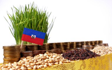 Haiti bayrak sallayarak para sikke ve buğday yığınları yığını ile