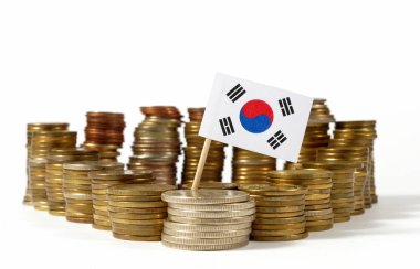 Para sikke yığını ile sallayarak Güney Kore bayrağı