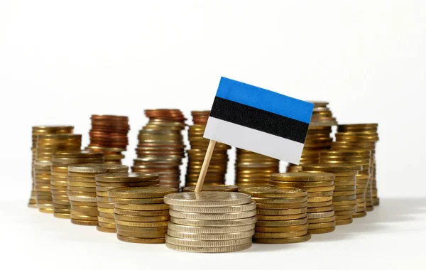 Estonya bayrağı sallayarak para sikke yığını ile