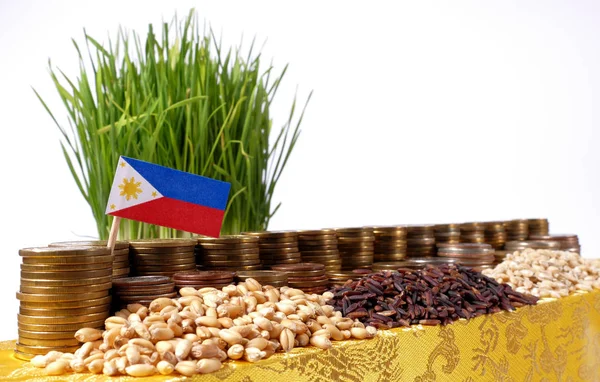 Bendera Filipina melambai dengan tumpukan uang koin dan tumpukan gandum — Stok Foto