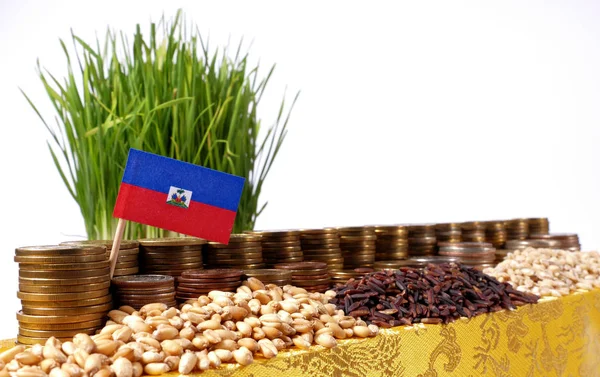 Haiti bayrak sallayarak para sikke ve buğday yığınları yığını ile