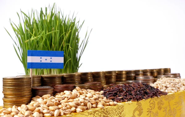 Bandera de Honduras ondeando con pila de monedas de dinero y montones de trigo — Foto de Stock