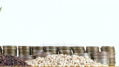 Para sikke ve buğday ve pirinç tohumu yığınları yığını ile sallayarak Burundi bayrağı