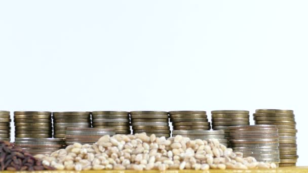 Bandera de Montenegro ondeando con pila de monedas de dinero y montones de semillas de trigo y arroz — Vídeos de Stock