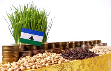 Para sikke ve buğday yığınları yığını ile sallayarak Lesoto bayrağı