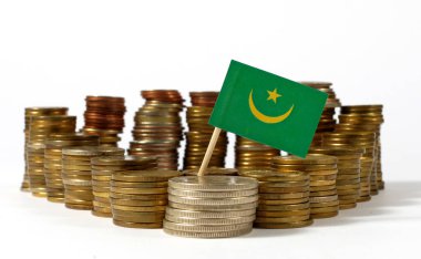 Moritanya bayrak sallayarak para sikke yığını ile