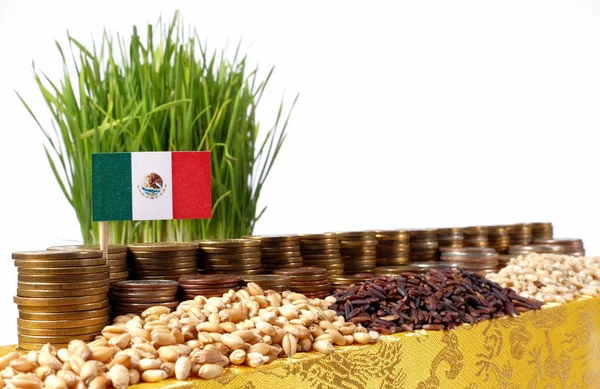 Флаг Мексики, размахивающий пачкой монет и грудами пшеницы — стоковое фото