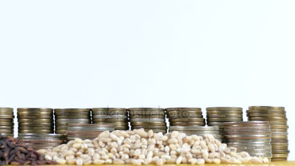 Philippines flag waving with stack of money coins and piles of wheat and rice seeds — Stock Video