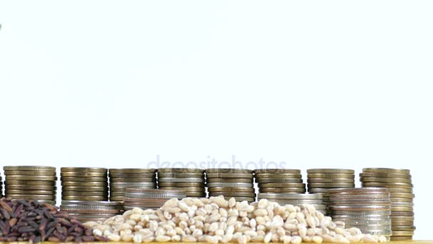 East Timor flag waving with stack of money coins and piles of wheat and rice seeds — Stock Video