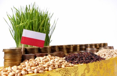 Polonya bayrak sallayarak para sikke ve buğday yığınları yığını ile 