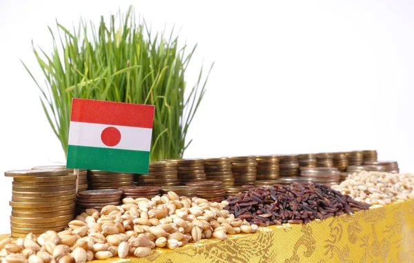Νίγηρας σημαία κυματίζει με στοίβα νομίσματα χρήματα και σωρούς από σιτάρι — Φωτογραφία Αρχείου